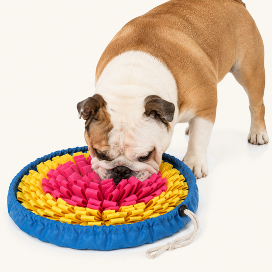 ThinkTreat Snuffle Mat