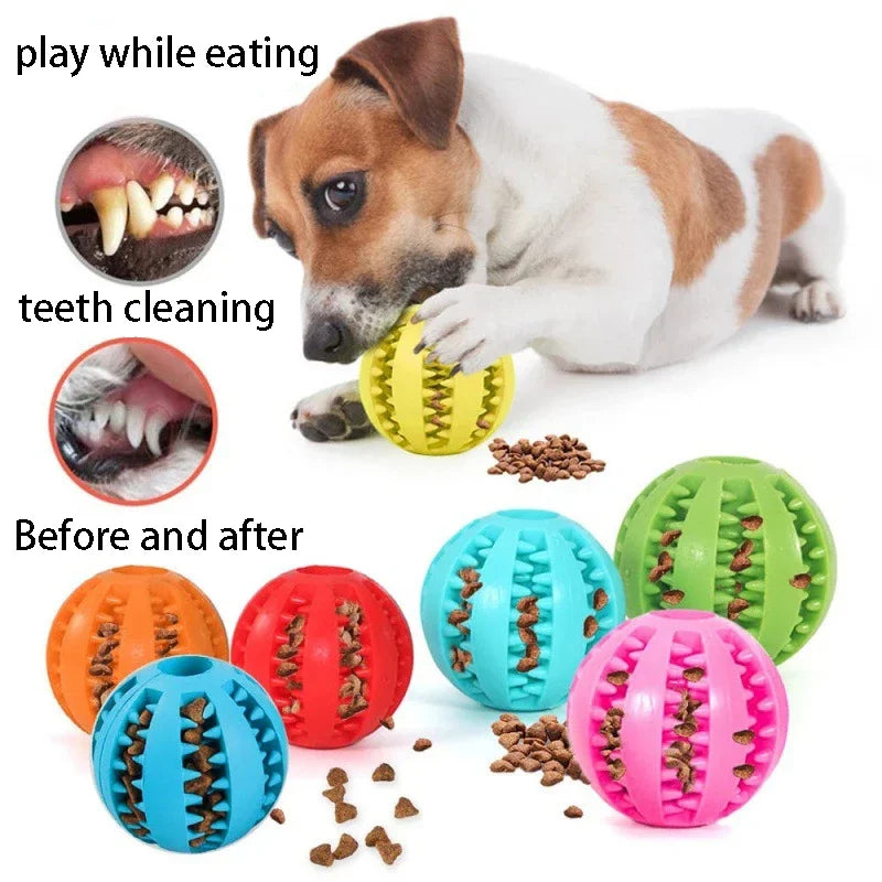 ThinkTreat Chew & Seek Ball
