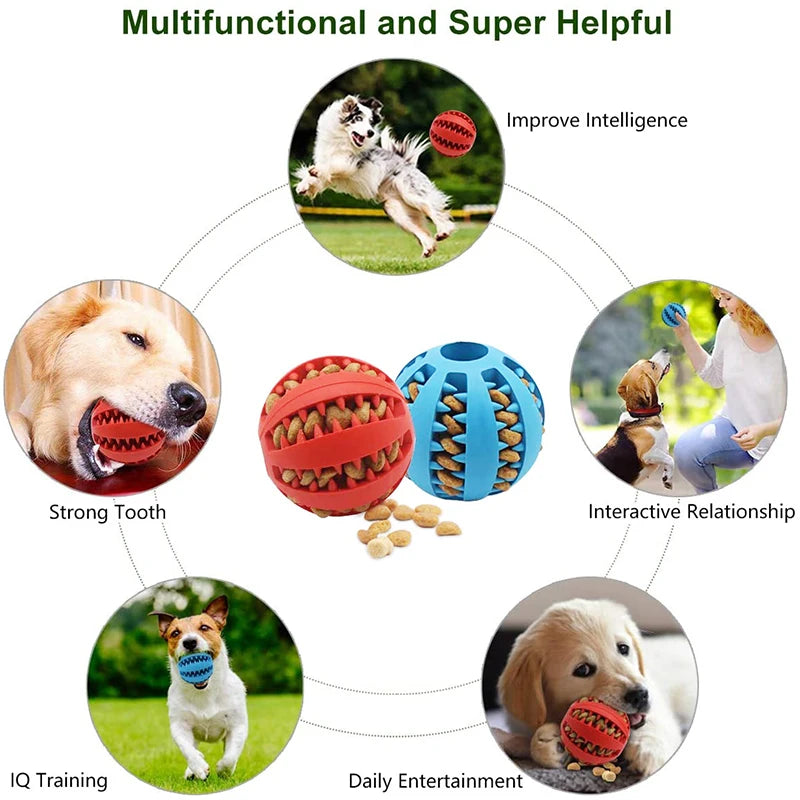 ThinkTreat Chew & Seek Ball