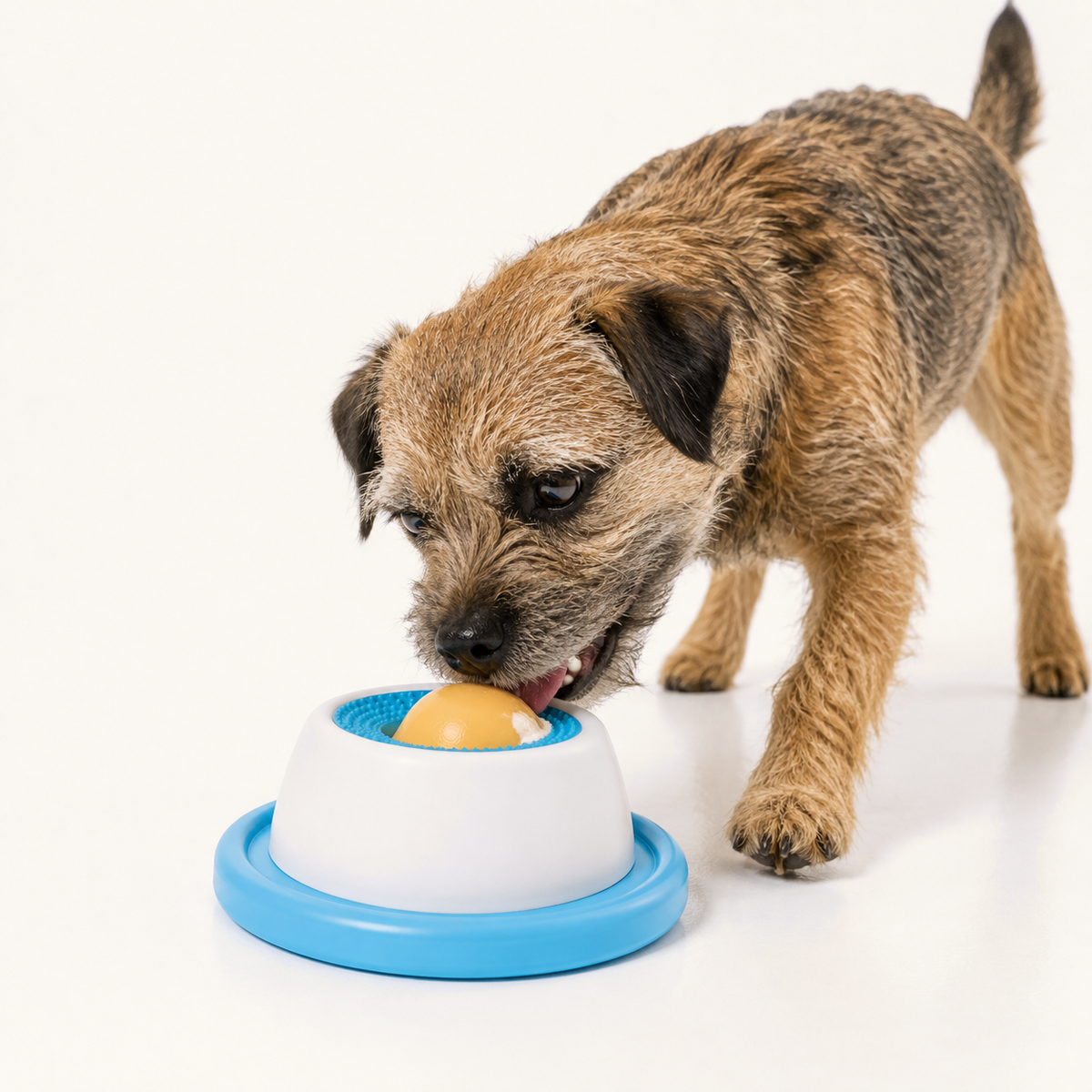 ThinkTreat Spin & Lick Bowl